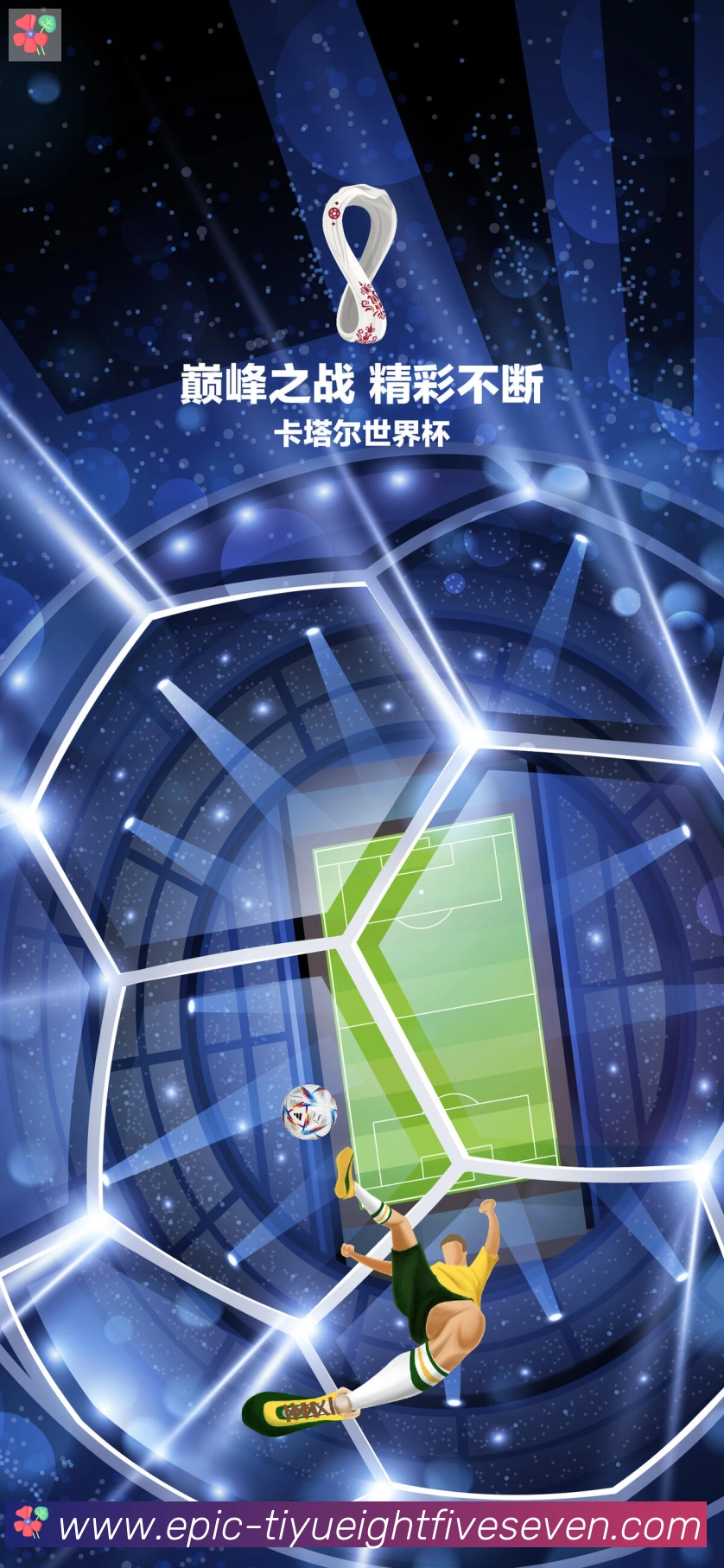 857体育直播荣誉